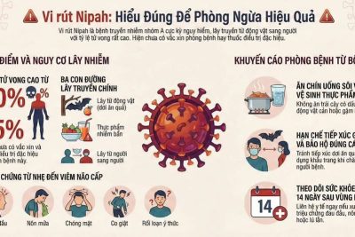 Vi rút Nipah được phát hiện lần đầu tiên vào năm 1999 tại Malaysia. Đến năm 2001, bệnh do vi rút Nipah được ghi nhận đầu tiên trên người tại Bangladesh và sau đó ghi nhận tại Ấn Độ.  👉🏾Theo Tổ chức Y tế thế giới (WHO), bệnh do vi rút Nipah ghi nhận rải rác ca bệnh ở phạm vi nhỏ tại một số quốc gia, chưa tạo thành các ổ dịch lớn.  👉🏾Tỷ lệ chết/ mắc ở các trường hợp nhập viện khoảng 40-75%. Hiện bệnh chưa vắc xin và thuốc điều trị đặc hiệu cho cả người và động vật.  👉🏾Theo thông tin từ hệ thống giám sát bệnh truyền nhiễm, từ ngày 27/12/2025 đến ngày 26/01/2026, Ấn Độ ghi nhận 05 trường hợp nghi ngờ mắc bệnh do vi rút Nipah (trong đó có 02 trường hợp có xét nghiệm khẳng định) tại một bệnh viện ở Tây Bengal.  👉🏾Bệnh do vi rút Nipah là bệnh truyền nhiễm nhóm A1, vi rút này lây truyền chủ yếu từ động vật sang người (tại Ấn Độ hiện nay truyền qua loài dơi ăn quả), hoặc tiếp xúc với vật phẩm, thực phẩm bị nhiễm vi rút và cũng có thể lây truyền từ người sang người (qua tiếp xúc trực tiếp với dịch tiết, dịch bài tiết của bệnh nhân); thời gian ủ bệnh trong khoảng 4-14 ngày, người nhiễm vi rút có thể có các triệu chứng: đau đầu, đau cơ, nôn mửa và đau họng, sau đó có thể xuất hiện chóng mặt, buồn ngủ, rối loạn ý thức và các dấu hiệu thần kinh cho thấy viêm não cấp tính.  👉🏾Đến ngày 26/01/2026, Việt Nam chưa ghi nhận trường hợp mắc bệnh do vi rút Nipah. Bộ Y tế đã chỉ đạo các địa phương tăng cường công tác giám sát, phòng chống dịch bệnh ngay từ các cửa khẩu, cơ sở y tế và cộng đồng, sẵn sàng các biện pháp đáp ứng, phòng chống dịch. Bộ Y tế sẽ tiếp tục theo dõi chặt chẽ tình hình dịch bệnh, phối hợp với WHO, các quốc gia trên thế giới để kịp thời chỉ đạo triển khai các biện pháp phòng, chống dịch phù hợp, hiệu quả.   📣📣Để chủ động, phòng chống dịch bệnh do vi rút Nipah Bộ Y tế khuyến cáo người dân thực hiện tốt các biện pháp sau:  1. Hạn chế đến khu vực có dịch bệnh do vi rút Nipah nếu không thực sự cần thiết.  2. Tự theo dõi sức khỏe, trong vòng 14 ngày kể từ khi về từ vùng dịch, nếu có các triệu chứng như: đau đầu, đau cơ, nôn mửa và đau họng, chóng mặt, buồn ngủ, lú lẫn, co giật cần liên hệ ngay với cơ sở y tế gần nhất, hạn chế tiếp xúc với người khác, thông báo rõ tiền sử dịch tễ cho nhân viên y tế.   3. Đảm bảo vệ sinh thực phẩm: thực hiện “Ăn chín, uống sôi”, rửa sạch và gọt vỏ trái cây trước khi ăn, không ăn, uống các loại trái cây có dấu hiệu bị động vật (dơi, chim) cắn hoặc gặm nhấm; tránh uống nước nhựa cây (như nhựa cây thốt nốt, nhựa dừa sống hoặc chưa qua chế biến).    4. Không tiếp xúc gần với động vật có khả năng lây truyền cao như là dơi ăn quả; thường xuyên rửa tay bằng xà phòng hoặc dung dịch sát khuẩn sau khi giết mổ, tiếp xúc với động vật.     5. Hạn chế tiếp xúc trực tiếp với người bệnh, vật phẩm ô nhiễm từ người bệnh; cần sử dụng khẩu trang, găng tay và đồ bảo hộ cá nhân khi chăm sóc, điều trị người nghi ngờ, mắc bệnh, sau đó rửa tay bằng xà phòng hoặc dung dịch sát khuẩn./.  Nguồn tin: Bộ y tế.